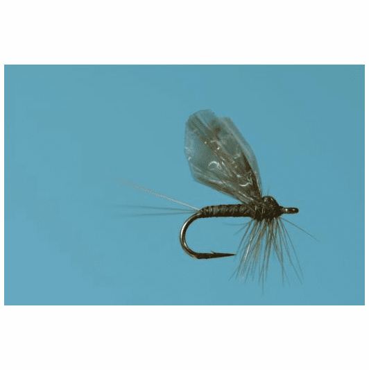 caddis fly Stalcup's Hackle Dun Baetis