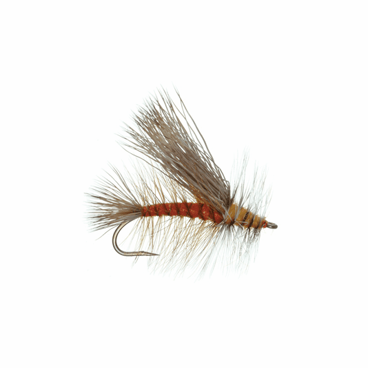 caddis fly Stimulator Orange