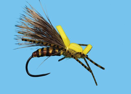 Caddis Fly Stone Squatter