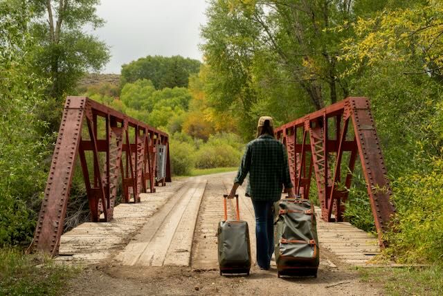 Caddis Fly Stormshadow Rolling Carry-On