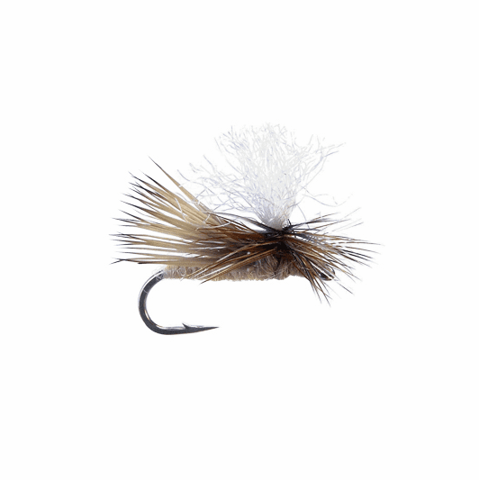 Caddis Fly Swisher's Dancing Caddis