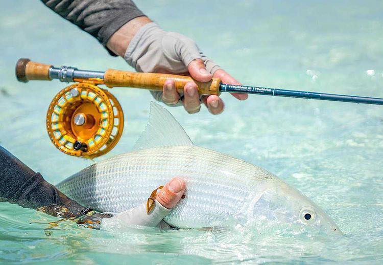 caddis fly T&T Sextant Rods