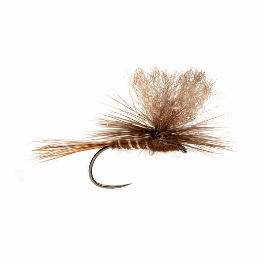 caddis fly Tactical Western March Brown Parachute