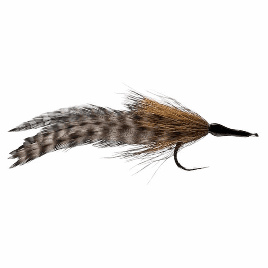 caddis fly Tarpon Cockroach