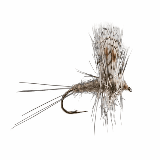 caddis fly Thorax Callibaetis