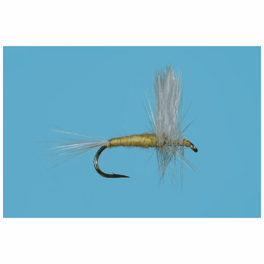 Caddis Fly Thorax PMD