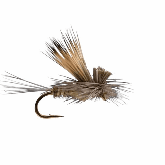 caddis fly Tilt Wing Dun BWO