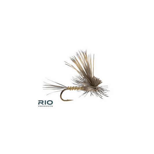 caddis fly Tilt Wing Dun