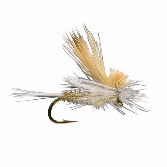Caddis Fly Tilt Wing PMD