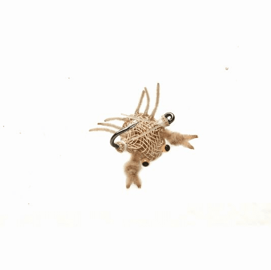 caddis fly Trigger Flexo Crab