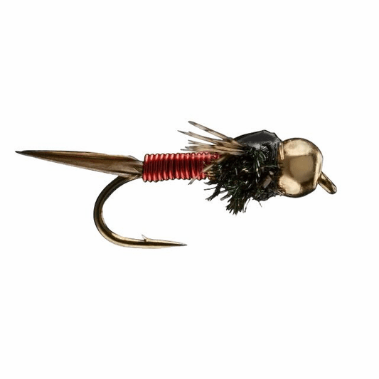 caddis fly Tungsten Copper John Red