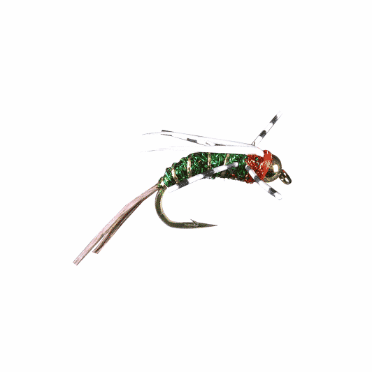 Caddis Fly Tungsten Flash Prince