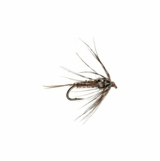 caddis fly Tungsten Soft Hackle Pheasant Tail Fly