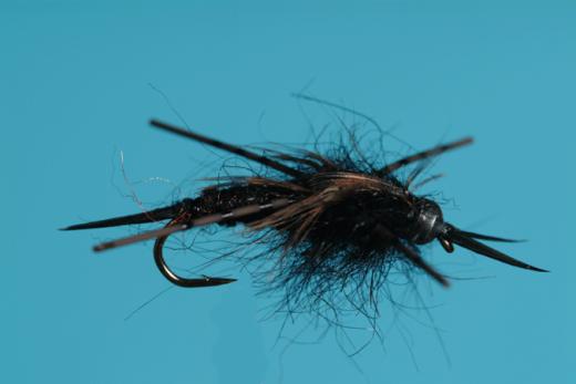 caddis fly Tungsten Trout Retriever
