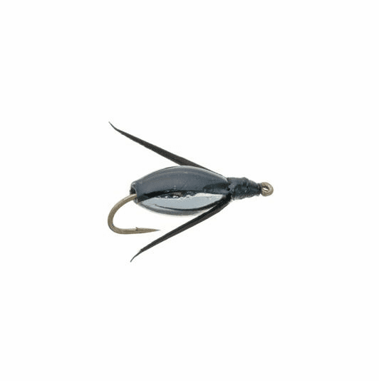 caddis fly Water Boatman