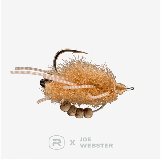 caddis fly Webster's Tactical Tungsten Crab