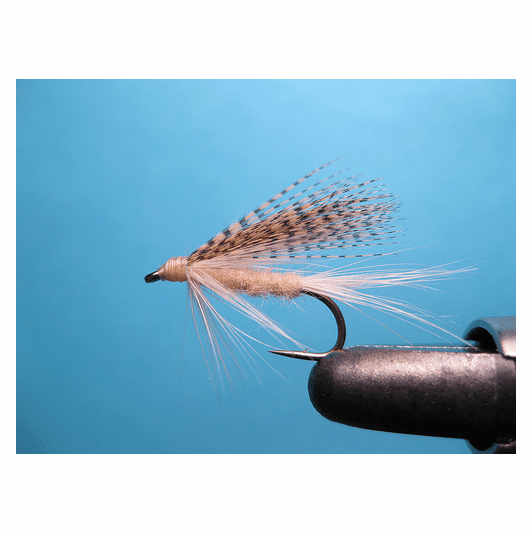 caddis fly Wet Cahill Classic Wet Flies
