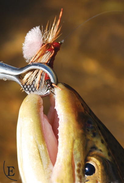 caddis fly Crocodile Pliers - Rising Fly Fishing Tool - 6 inch