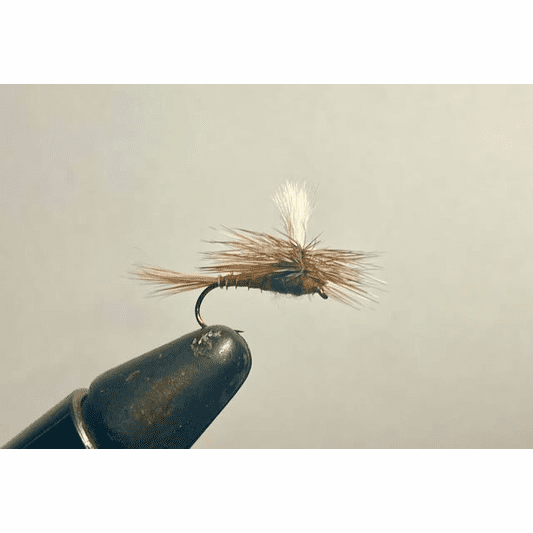 Caddis Fly Hi And Dry Western March Brown Parachute