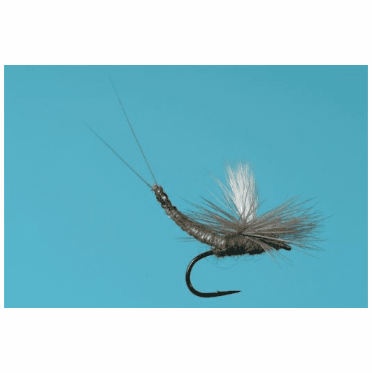 caddis fly Parachute Extended Body Blue Winged Olive