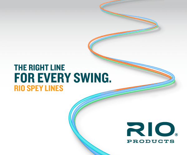 Caddis Fly Rio Scandi Body Spey Shooting Head Fly Line