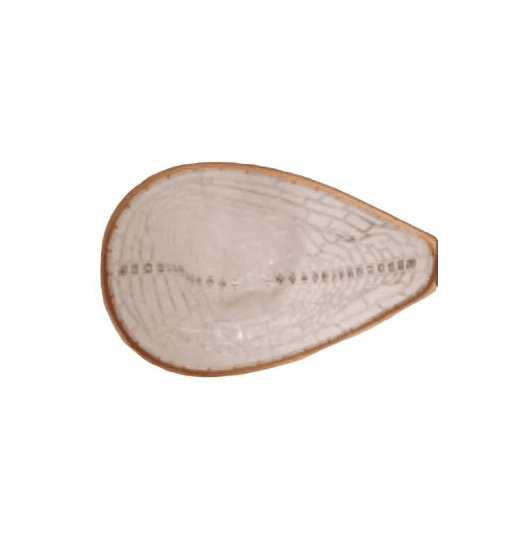 caddis fly Solitude Clearview Replacement Net for Fly Fishing