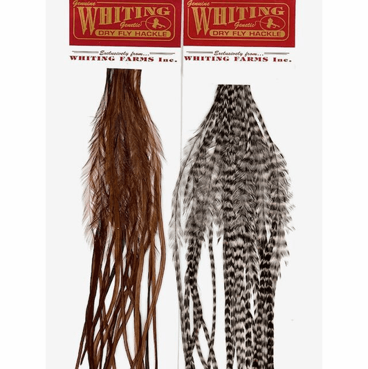 caddis fly Whiting 100 Fly Pack Rooster Saddle Hackles