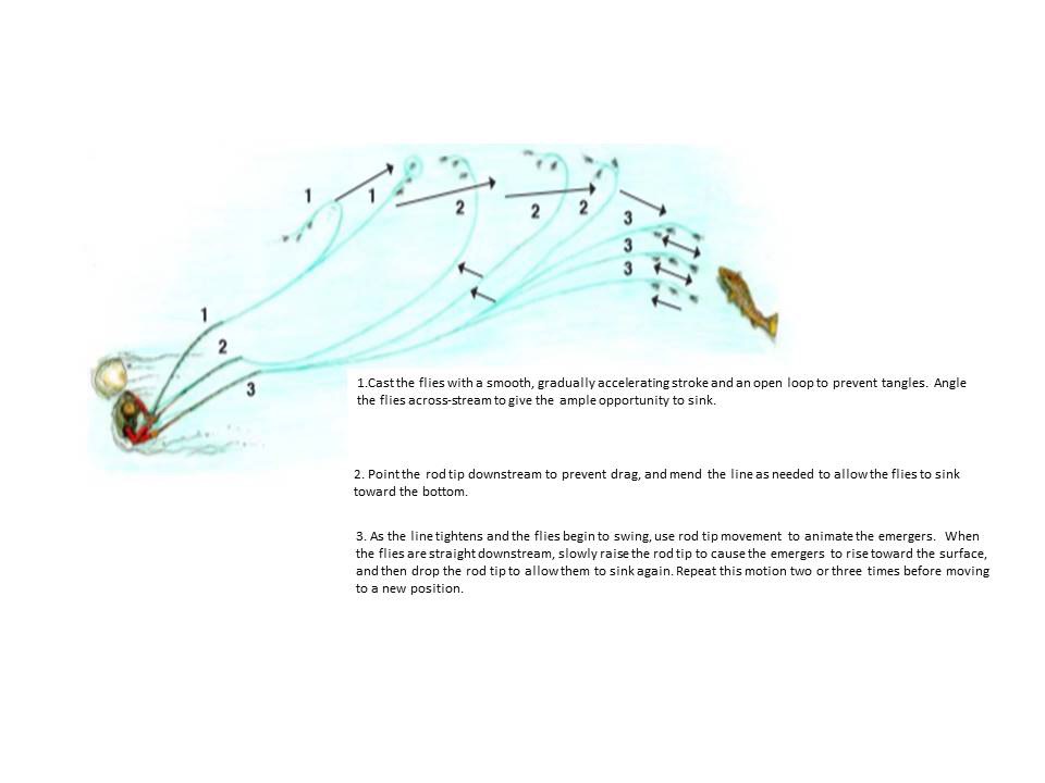 Caddis Fly Whitlocks Three Phase Caddis Pupa Assortment