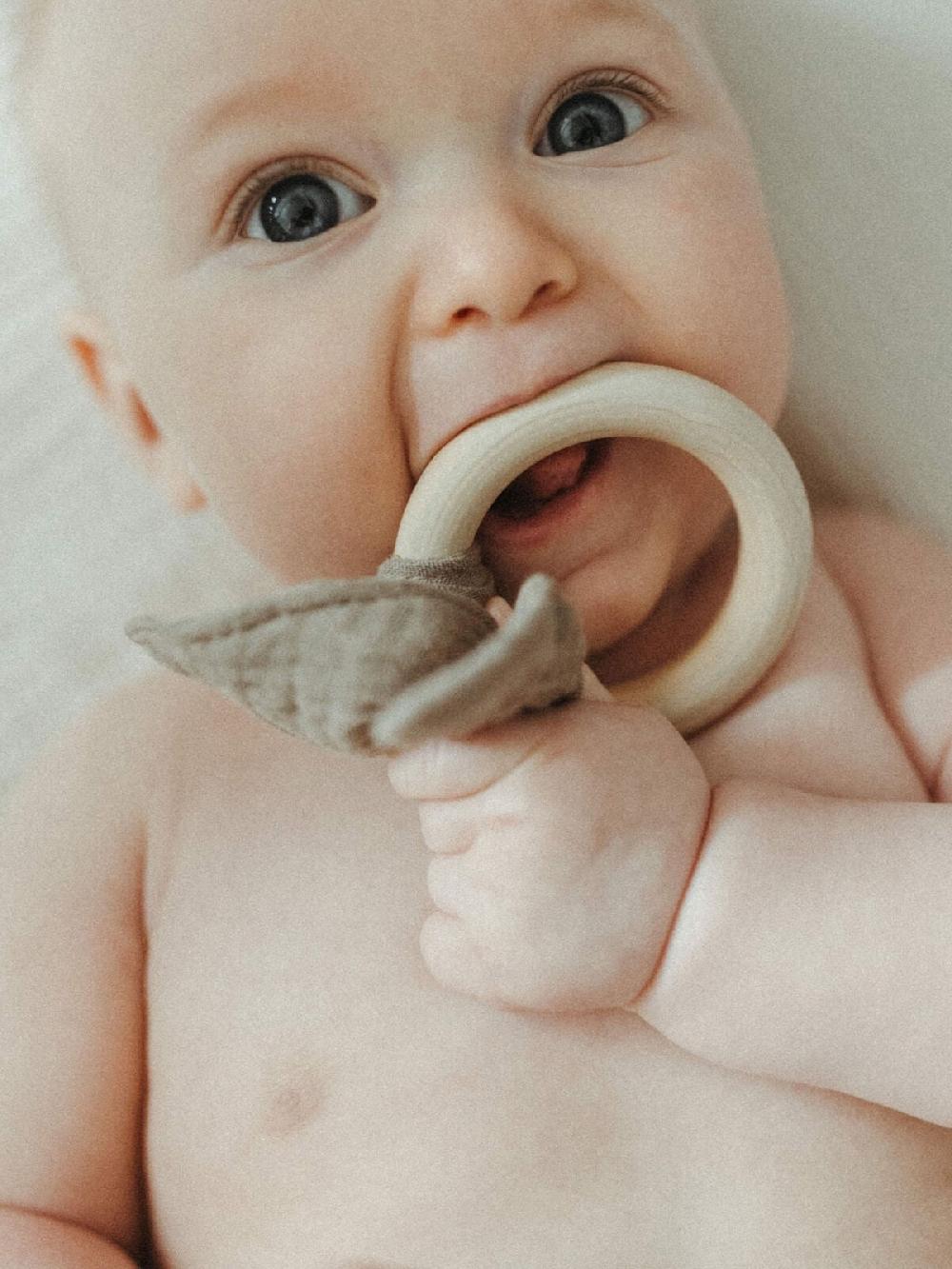 Cake Maternity Bunny Baby Teethers