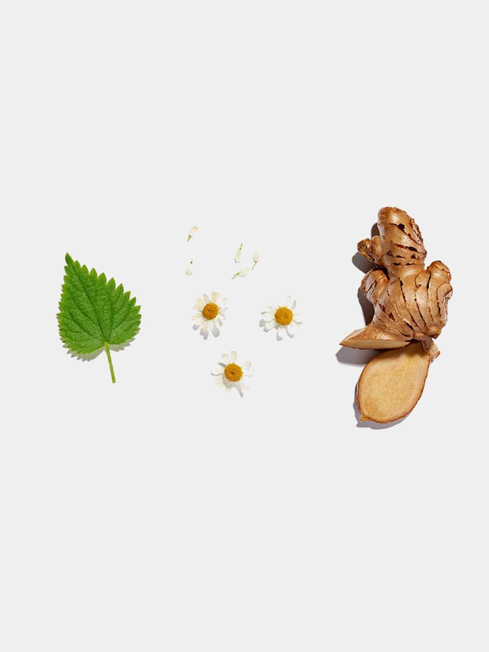 Cake Maternity Pregnancy Tea 20 Pyramids