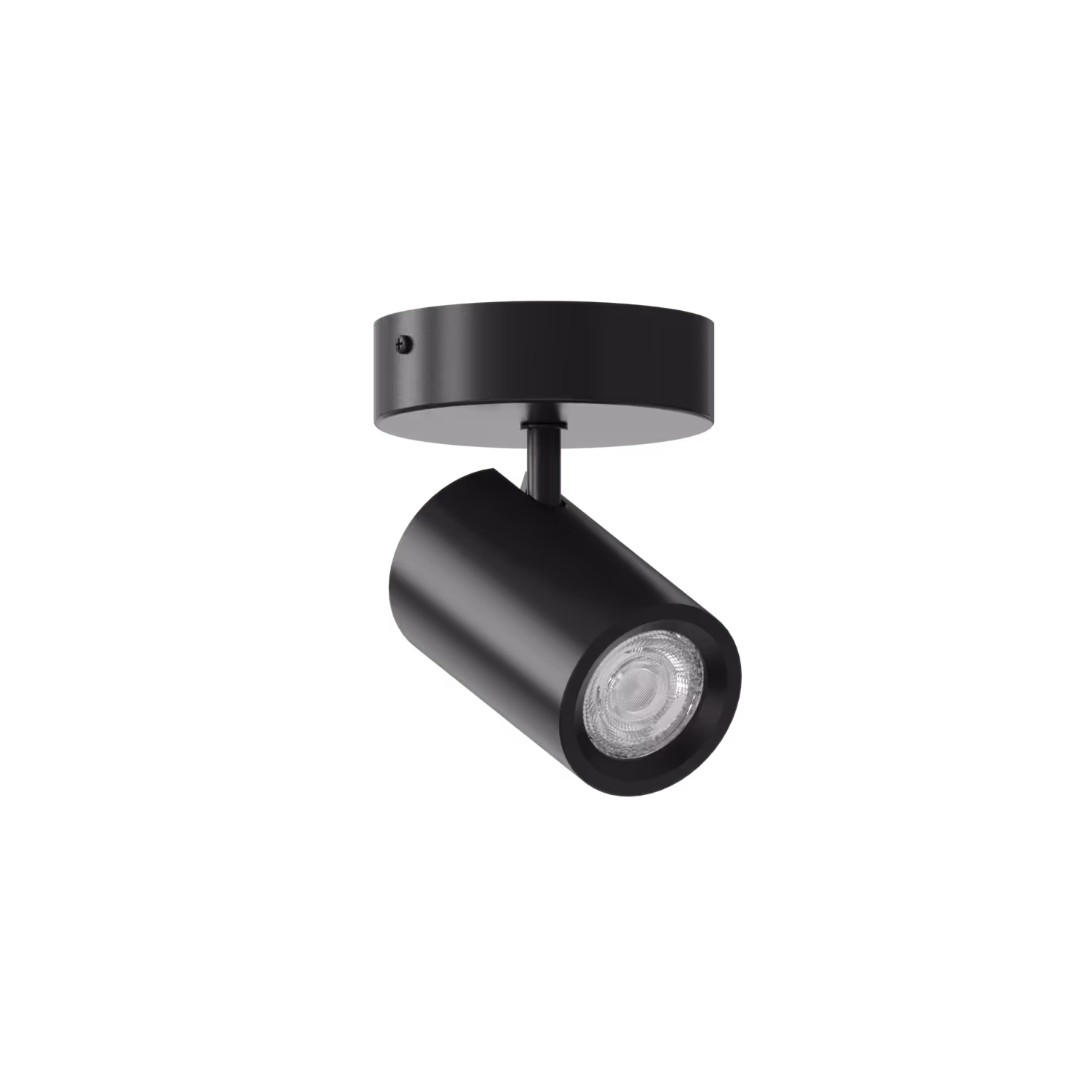Calex Calex Smart Ceiling Light - 1 Light Spot - Black