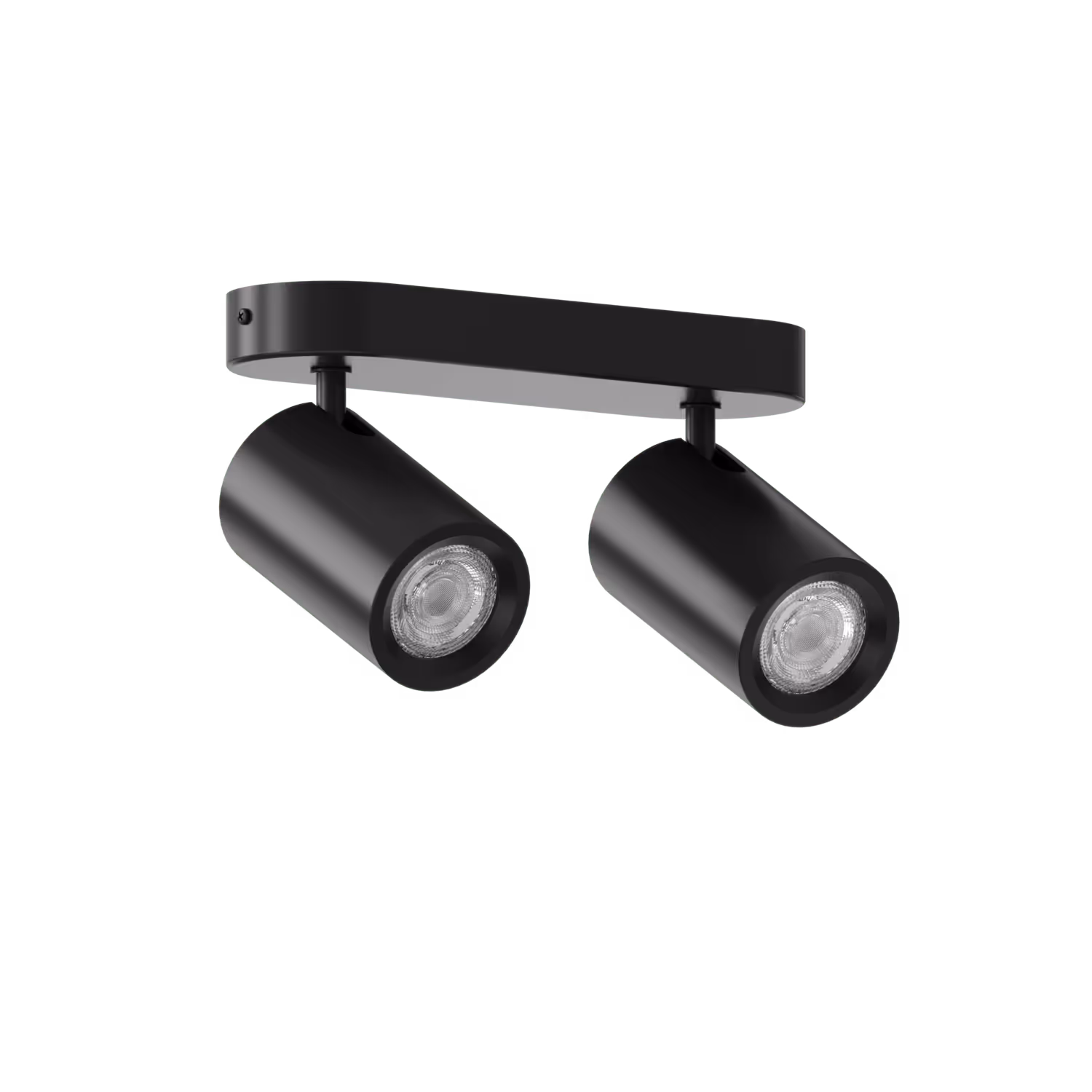 Calex Calex Smart Ceiling Light - 2 Light Spot - Black