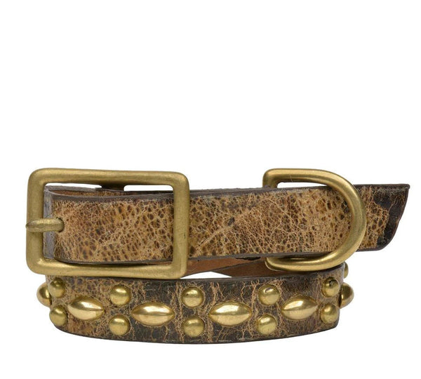 Calleen Cordero Coco 12" Dog Collars Black Leather W/ Nickel & Brass