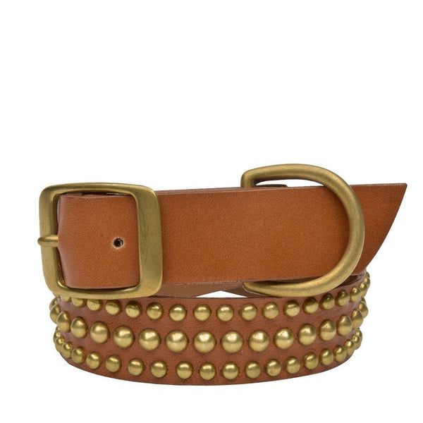 Calleen Cordero Lichi 22" Dog Collars Black Leather W/ Nickel Art