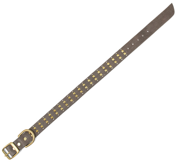 Calleen Cordero Mare 15" Dog Collars Dark Taupe W/ Brass & Nickel