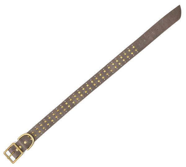 Calleen Cordero Mare 19" Dog Collars Dark Taupe W/ Brass & Nickel