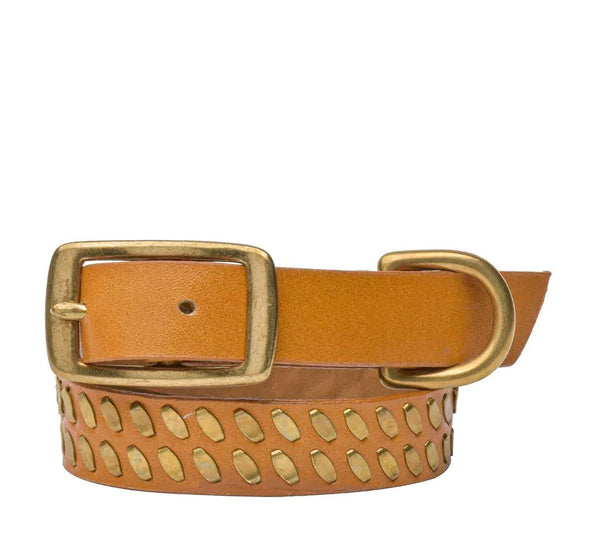 Calleen Cordero Mora 15" Dog Collars Black Leather W/ Nickel Art