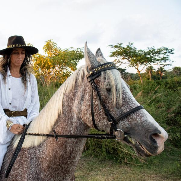 Calleen Cordero Palova Browband Black Aniv W/ Brass Art