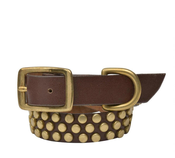 calleen cordero Pera 15" Dog Collars White Cracked Leather w/ Brass Art