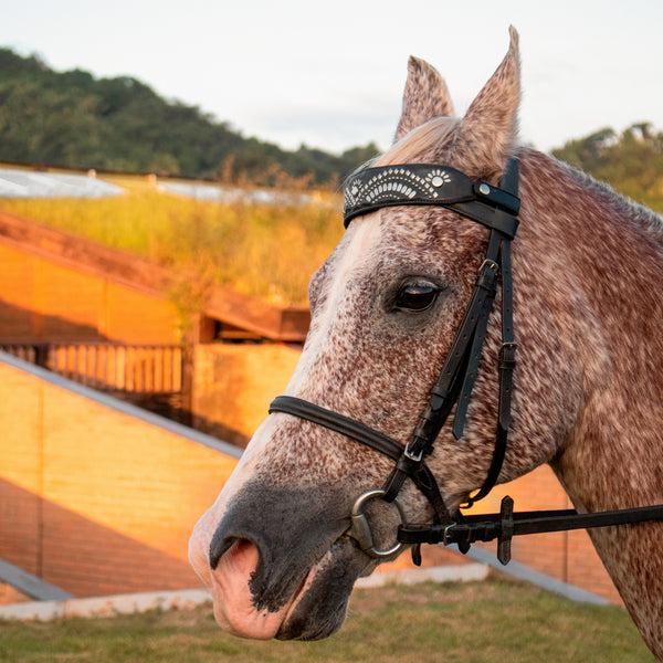 Calleen Cordero Suni Browband Black Aniv W/ Nickel Art