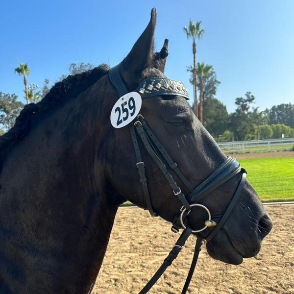 Calleen Cordero Zahara Browband Black Embossed Croc W/ Nickel And Brass