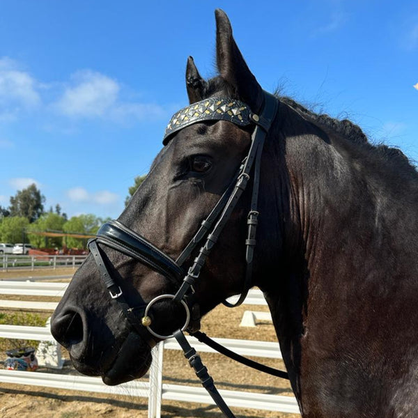 Calleen Cordero Zahara Browband Black Embossed Croc W/ Nickel And Brass