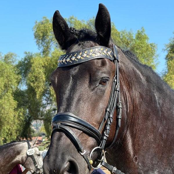 Calleen Cordero Zahara Browband Black Embossed Croc W/ Nickel And Brass