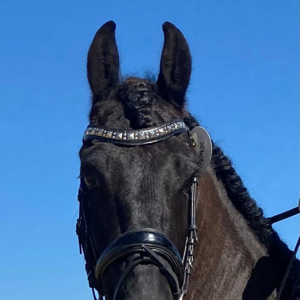 Calleen Cordero Zumo Browband Black Croc W/ Nickel Art