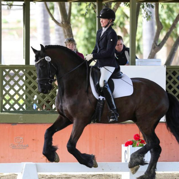 Calleen Cordero Zumo Browband Black Croc W/ Nickel Art