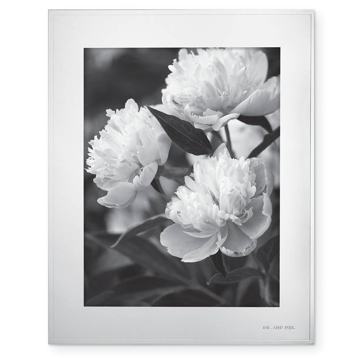 cambridge silversmiths Darling Point 8" x 10" Frame