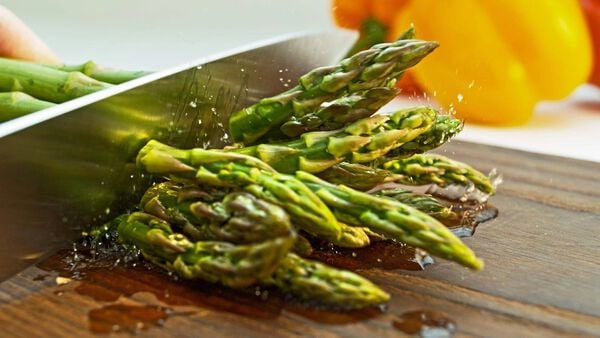 Camp Chef 9 Piece Professional Knife Set