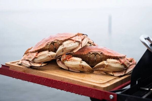 Camp Chef Folding Side Shelf Set