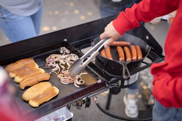 Camp Chef Griddles 14