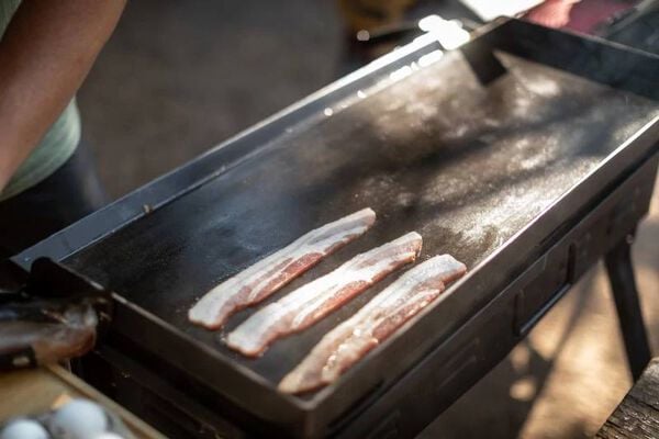 Camp Chef Griddles 14